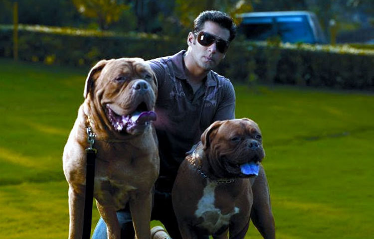 মাইসন এবং মাইজানের সঙ্গে সালমান খান। তারা সবাই ক্যামেরার মুখোমুখি।