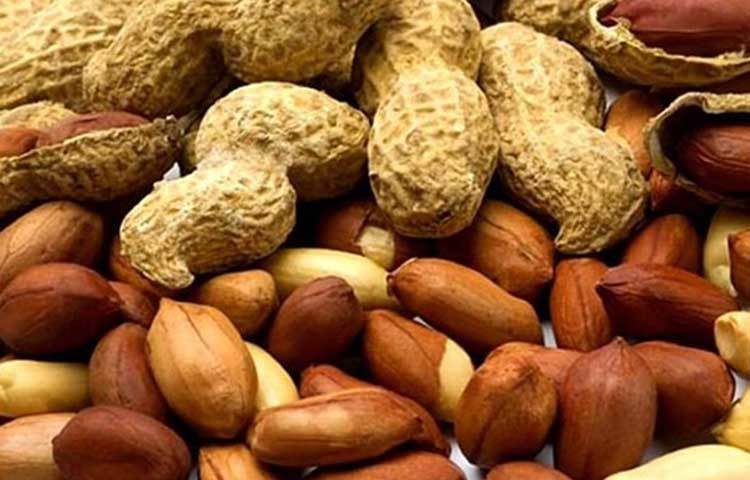 বাদাম : শক্ত খাবার চিবিয়ে খেলে আপনার দাঁতের ক্ষয় পূরণ হয় এবং দাঁতকে শক্ত করে। বিকেলের নাস্তায় আপনি যদি কয়েকটি বাদাম খান, তবে তা আপনার দাঁতকে ঝকঝকে করতে সাহায্য করে।