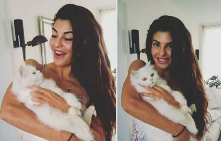 জ্যাকলিন ফার্নান্ডেজ : পোষ্যদের দুর্দান্ত ভালবাসেন জ্যাকলিন। সাতটি কুকুর, দু&rsquo;টি বিড়াল আর পাঁচটি অ্যাকোরিয়াম ভর্তি মাছ রয়েছে শ্রীলঙ্কায় তার বাডিড়তে।