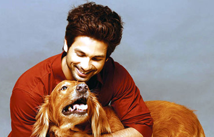 কাইজারের সঙ্গে শাহিদ কাপুর। প্রিয় কাইজারকে আদর করছেন শহিদ।