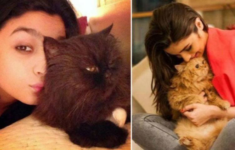 আলিয়া ভাট : পার্ল আর পিক্কা এই দুই বিড়ালকেই নাকি সবচেয়ে ভালবাসেন আলিয়া।