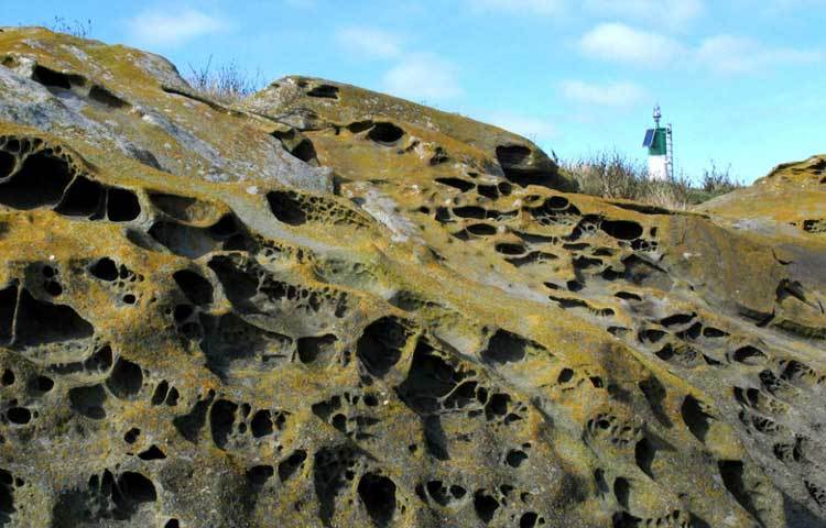 স্নেক আইল্যান্ড, ব্রাজিল : সাও পাওলো থেকে বিস্তৃত, প্রায় ২০ মাইল দৈর্ঘ্যের এই দ্বীপের মূল বাসিন্দারা হল &lsquo;গোল্ডেন ভাইপার&rsquo;। সাধারণ মানুষের একেবারেই প্রবেশ নিষিদ্ধ এখানে। তবে, প্রতি ৫ বছর অন্তর বিশেষজ্ঞরা যান সাপের &lsquo;হালহকিকত&rsquo; জানতে।