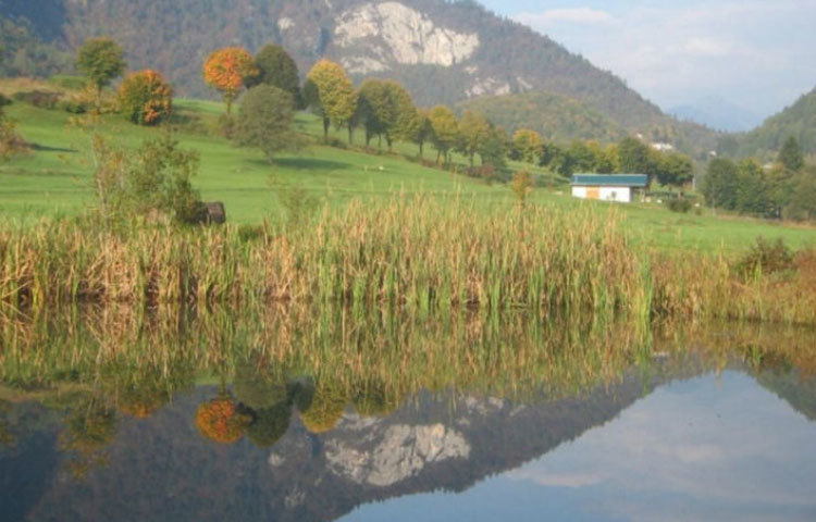 হাঙ্গেরির এক প্রত্যন্ত গ্রামে একটি সুন্দর ছোট্ট আস্তানা। পিছনে পাহাড়, সামনে এক টুকরো ঝিল।