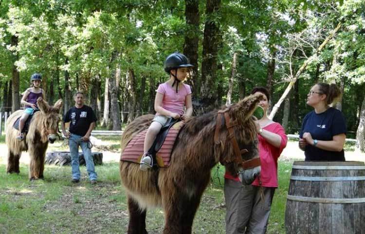 তবে আজ আর সেই আগেকার মতো লবণের ব্যবসার রমরমা নেই। তাই এই গাধার দলকে শুধুমাত্র টুরিস্টদের মন ভরানোর জন্যই কেবল পাজামা পরে থাকতে হয়।