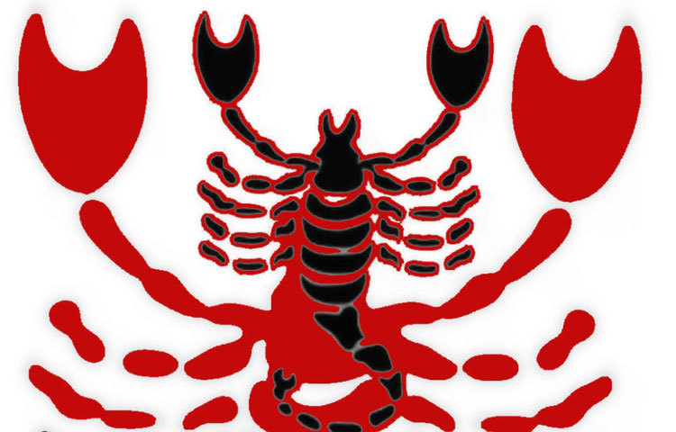 বৃশ্চিক : ডার্ক গ্রে, গাঢ় লাল অথবা মেরুন রং এই রাশির পক্ষে শুভ। মঙ্গলবার লাল রঙের পোশাক পরুন।