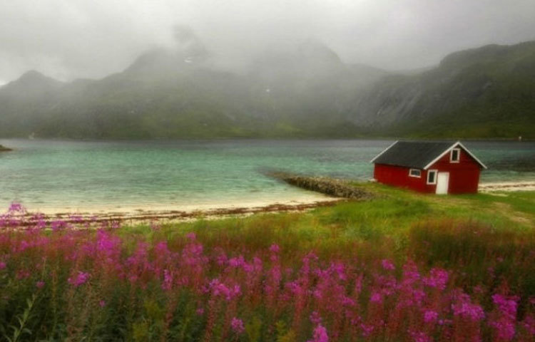 এই সুন্দর নিরিবিলি বাড়িটির অবস্থান নরওয়েতে।