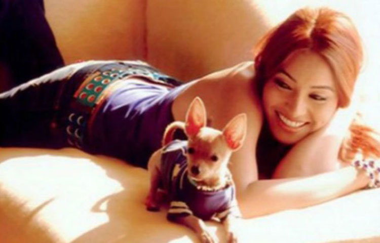 বিপাশা বসু : পোষ্যের নামের মধ্যেও রয়েছে বাঙালিয়ানার ছোঁয়া। পুঁচকে পোস্ত বসু দেখতে যতটা পুঁচকে বয়সে ততটা নয়। তার বয়স নয় বছর। এত বছর ধরে নায়িকার সর্বক্ষণের সঙ্গী পোস্ত।