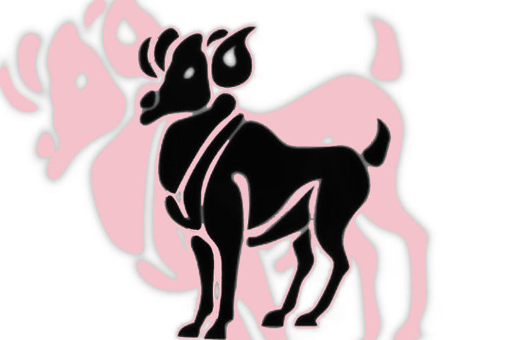 মেষ : এদের প্রিয় রং লাল হলেও, গোলাপি আনবে সুফল।