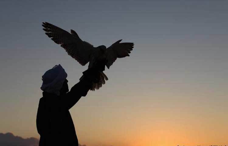 দ্বিতীয় স্থানে সংযুক্ত আরব আমিরাত : মোট ৮৬ পয়েন্ট পেয়ে দ্বিতীয় সেরা মুসলিমবান্ধব দেশ হয়েছে সংযুক্ত আরব আমিরাত।