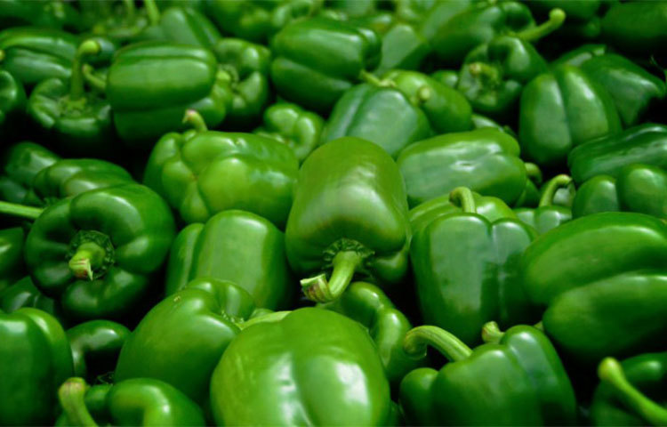 সবুজ ক্যাপসিকাম : মাত্র আধ কাপ ক্যাপসিকাম কুচিতে রয়েছে ৬০ মিলিগ্রাম ভিটামিন সি রয়েছে।