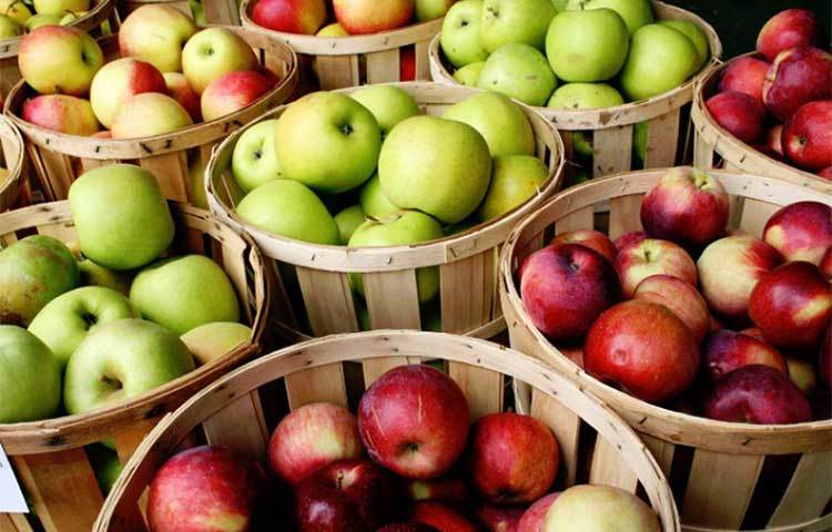 আপেল : প্রচুর পরিমাণ অ্যান্টিঅক্সিড্যান্ট থাকার কারণে টিস্যুর ক্ষয় রুখতে সাহায্য করে আপেল।