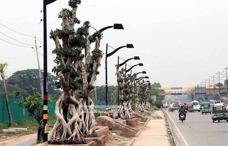 এখন পর্যন্ত ১০০টি বনসাই গাছ লাগানো হয়েছে। গাছগুলোর ডালপালা হলে দেখতে আরো ভালো লাগবে। ছবি : বিপ্লব দিক্ষিৎ