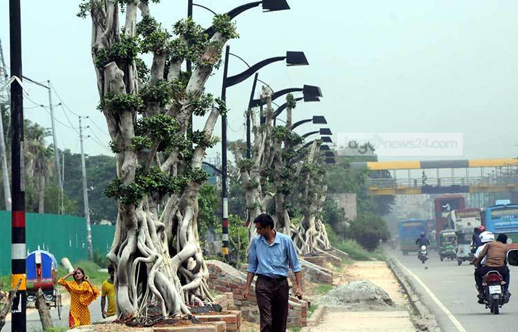 আরো এক হাজারেরও বেশি বনসাইয়ে সাজবে বিমানবন্দরের রাস্তা। ছবি : বিপ্লব দিক্ষিৎ