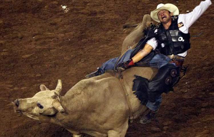 বুল ফাইট : বিপজ্জনক খেলার মধ্যে আরও একটি অন্যতম খেলা হল বুল ফাইট। স্পেন, পর্তুগালের ঐতিহ্যবাহী খেলা এটি। ফ্রান্সের বেশকিছু জায়গায় বুল ফাইটের প্রচলন রয়েছে। তবে পড়ে গিয়ে এই খেলায় মারা যাওয়ারও আশঙ্কা থাকে।