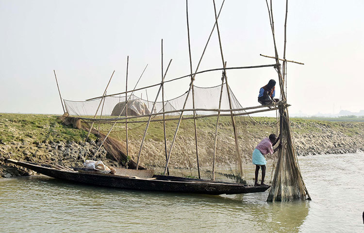 মাছ ধরার জন্য জাল ফেলা হচ্ছে। শীতকালে হাওর অঞ্চলে মাছ ধরার ধুম পড়ে যায়। ছবি : মাহবুব আলম
