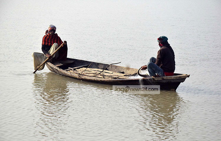 জালে ধরা পড়েছে মাছ। জেলেদের মাঝে সকাল সন্ধ্যা মাছ ধরার প্রতিযোগিতা চলছে। ছবি : মাহবুব আলম