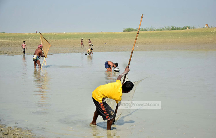 শিশু-কিশোরসহ বিভিন্ন বয়সী মানুষ আনন্দের সঙ্গে মাছ ধরায় অংশ নিয়েছেন। ছবি : মাহবুব আলম