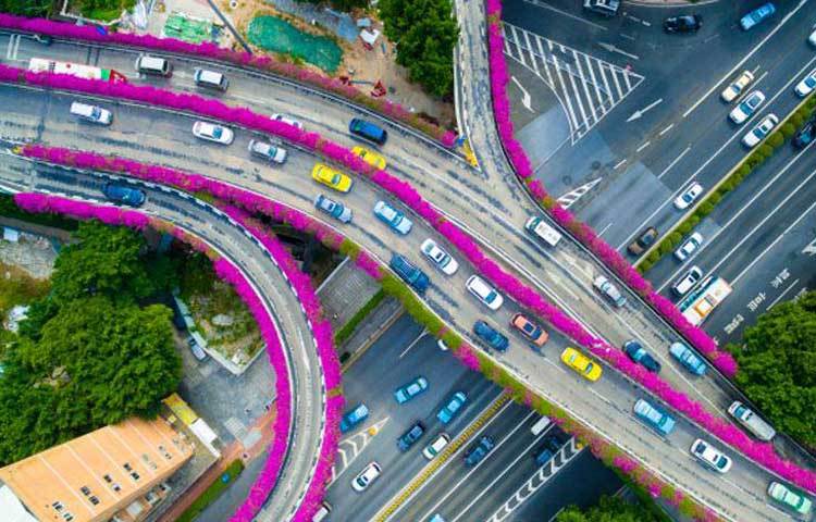 চীনের গুয়াংডং প্রদেশের রাজধানী গুয়াংজুর এই শহরটি পর্যটকদের কাছে খুব প্রিয়। এই শহরে ভ্রমণে এলে কেউ এই ফুলেল ফ্লাইওভারটি দেখতে ভুল করেন না।