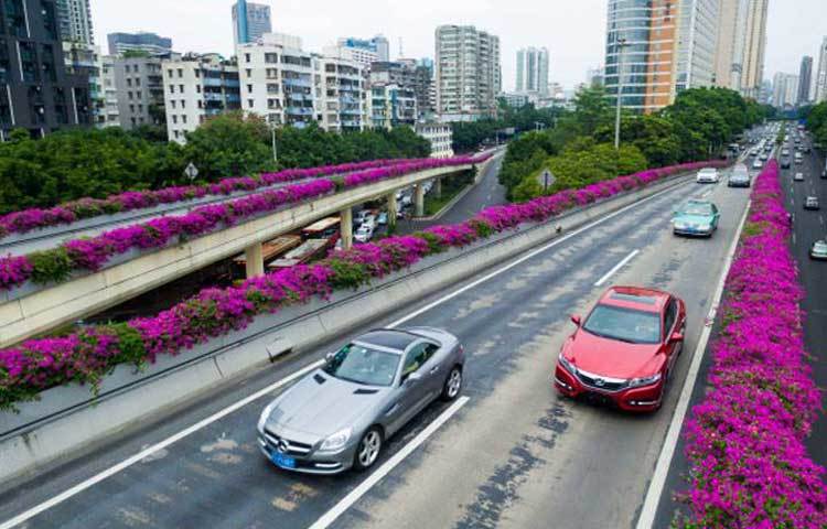 চীনের এই ফ্লাইওভারটি দেখে যে কোন পর্যটক নিমেষেই মুগ্ধ হয়ে যাবেন।