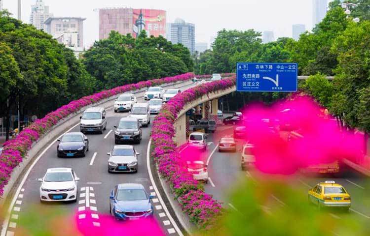 বসন্ত এলে চীনের এই ফ্লাইওভারের সৌন্দর্য বহুগুণে বৃদ্ধি যায়। তখন এই ফ্লাইওভার আরো আকর্ষণীয় হয়ে ওঠে।