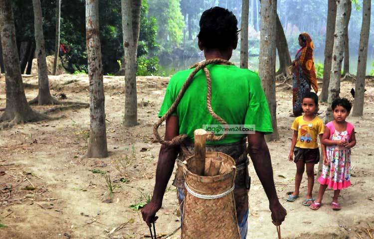 খেজুর রস শিশুদের কাছে খুবই প্রিয়। গাছিকে দেখছে দুই শিশু। ছবি : বিপ্লব দিক্ষিৎ