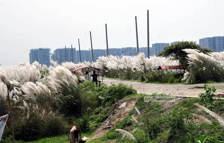 এই দিয়াবাড়ি এখন শুধু প্রকৃতিপ্রেমীদের বেড়ানোর স্থান নয়, অনেক আগে থেকেই টিভি নাটকের শুটিং স্পষ্ট হিসেবেও ব্যবহৃত হচ্ছে। ছবি : বিপ্লব দিক্ষিৎ