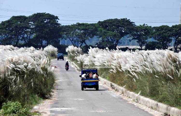কর্মব্যস্ত নগরবাসীর বেশির ভাগেরই ফুসরত নেই দূরে কোথাও যাওয়ার। কারো কারো আবার সাধ্যও নেই। কিন্তু রাজধানীর ভেতরই এমন এক অপরূপ দৃশ্য দেখার জায়গা দিয়াবাড়ি। ছবি : বিপ্লব দিক্ষিৎ