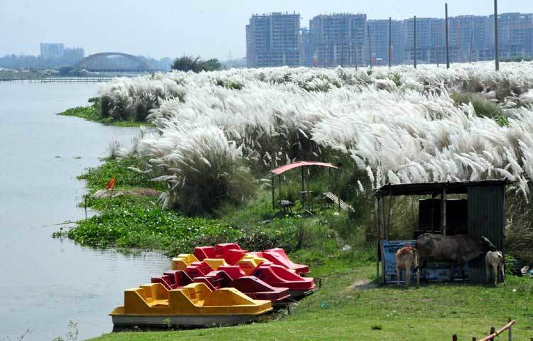 দিয়াবাড়ির বিশাল এক লেক ও লেকের বাঁধানো পাড়। এই লেকে উদাস হয়ে বসে থাকা ছাড়াও নৌকায় ঘুরতে পারবেন। ছবি : বিপ্লব দিক্ষিৎ