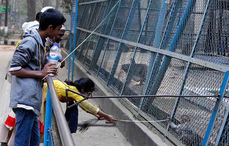 খাচার ভেতর বানরের সঙ্গে দুষ্টুমিতে মেতেছে এক শিশু। ছবি : মাহবুব আলম