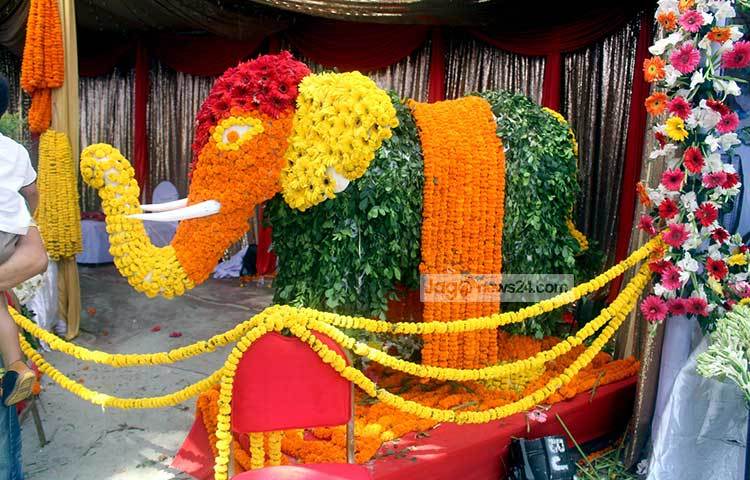 ফুল শব্দটা মনকে আলোড়িত করে। ফুল কথাটার মাঝেই লুকিয়ে আছে ভালোলাগার পরশ। ছবি : বিপ্লব দিক্ষিৎ