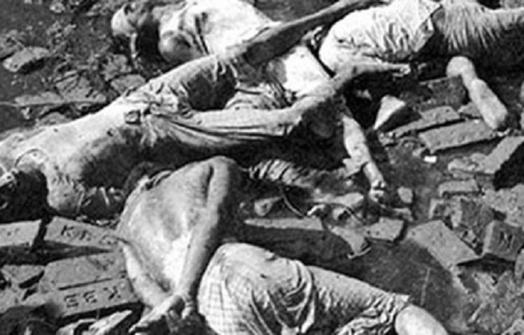 বাংলাদেশের মুক্তিযুদ্ধের সময় সংঘটিত এ গণহত্যা বিশ্ববিকেকে হতবাক করে দিয়েছিল।