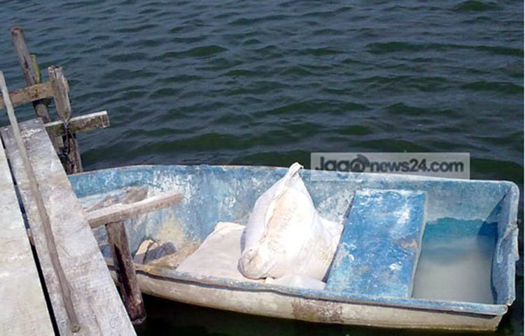 হাওরের পচা মাছ ও হাঁসের গন্ধ কমাতে চুন প্রয়োগ করা হচ্ছে।