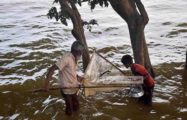 হাওরের বানের জলে মাছ ধরতে ব্যস্ত তারা দুজন। ছবি : মাহবুব আলম