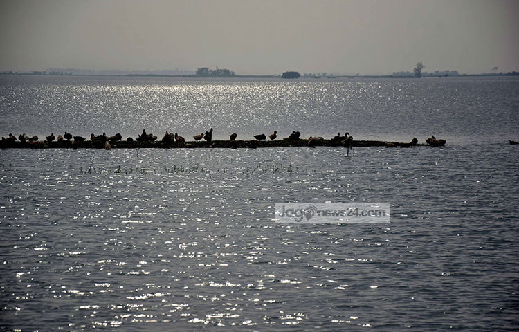 এত কান্না, এত দুঃখ! তবুও যেন হাওরের রূপ ধরে না। সুন্দরী রমনীর অশ্রুসিক্ত নয়নে যে আবেগ, রূপ প্রকাশ পায়, তাই মিলছে এখন হাওরে। ছবি : মাহবুব আলম