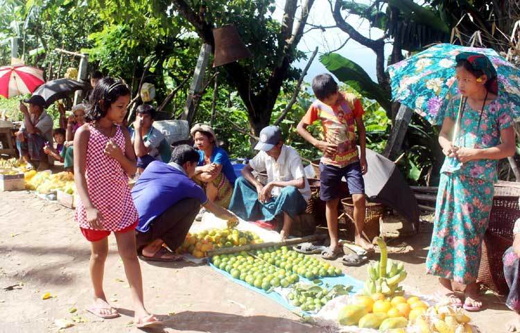 দেশের অন্যতম পার্বত্য জেলা বান্দরবানের নীলগিরী পাহাড় থেকে এসব ফল সংগ্রহ করা হয়েছে। ছবি : বিপ্লব দিক্ষিৎ