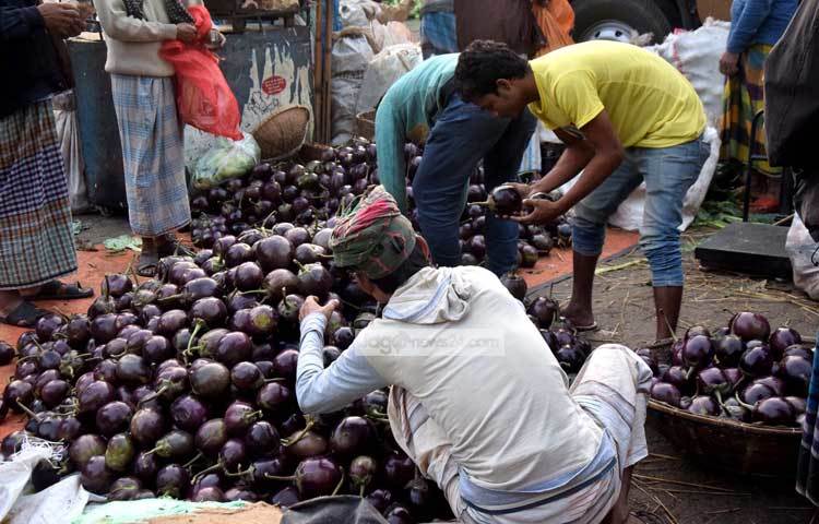 অন্যান্য সবজির সঙ্গে আসছে নানা জাতের বেগুন। বিক্রিও হচ্ছে সুলভ মূল্যে। ছবি : মাহবুব আলম