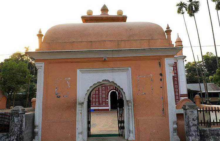 জেলা শহর থেকে ১৮ কিলোমিটার দূরে অবস্থিত মির্জাপুর শাহী মসজিদটি মোগল আমলের সুপ্রাচীন নির্দশন।