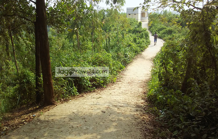 লতাপাতা আর গাছ-গাছালি পাহাড়ের গায়ে মিলেমিশে একাকার হয়ে আছে। ছবি : সৈয়দ&nbsp; মিজান