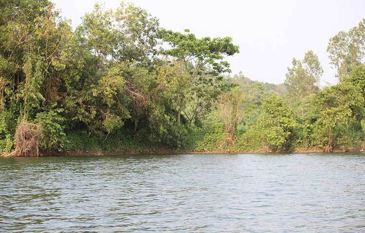 প্রকৃতির মায়ায় জড়ানো মহামায়া ইকো পার্ক। এখানের লেক দেখলে মনে হবে পাহাড়ি নদী। ছবি : সৈয়দ মিজান