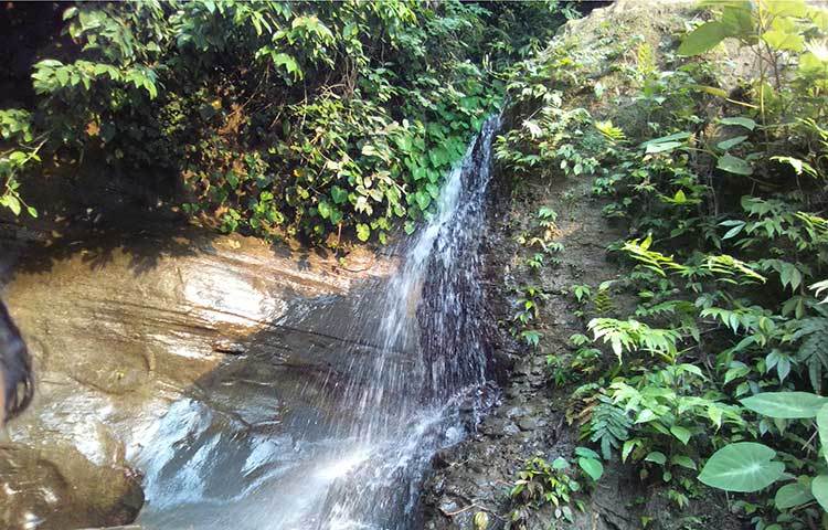 ঝিরঝির করে ঝরে পড়ছে ঝরনার পানি। এখানে প্রতিদিন দেশের বিভিন্ন জেলা থেকে অনেক পর্যটক ঘুরতে আসেন। ছবি : সৈয়দ মিজান