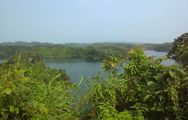 যেদিকেই দৃষ্টি যাবে সেদিকেই সবুজের মাখামাখি। এই সবুজের বুক চিড়ে বয়ে চলে পাহাড়ি নদী। ছবি : সৈয়দ মিজান