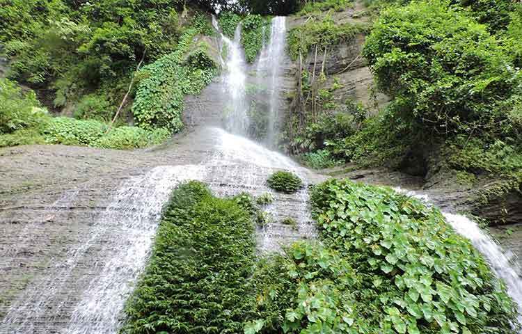 পর্যটকদের ক্লন্ত দেহে প্রশান্তি এনে দেয় নাপিত্তাছড়ার শীতল জল। বৃষ্টি এলে পানির প্রবাহটাও অনেক বেড়ে যায়। ছবি : ফয়সাল খান