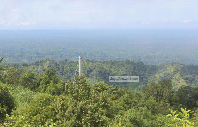 এখানের প্রকৃতির কারুকাজ হৃদয় ভরে উপভোগ করার আনন্দই আলাদা। এ আনন্দ মনটাকে এনে দেয় চির-সবুজতা। ছবি : বিপ্লব দিক্ষিৎ