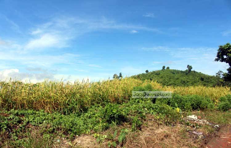 নীলগিরির নৈসর্গিক সৌন্দর্য দেখে ভ্রমণ পিপাসুরা অভিভূত হয়ে যাবে। মায়ায় জড়ানো। স্বপ্নমাখা এ প্রকৃতি। ছবি : বিপ্লব দিক্ষিৎ