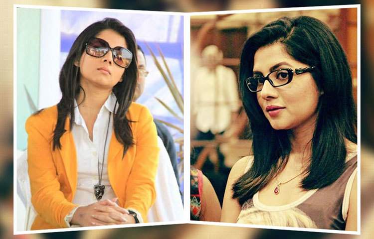 পায়েল সরকার ছোটপর্দার বেশ কিছু সিরিয়ালেও অভিনয় করেছেন।