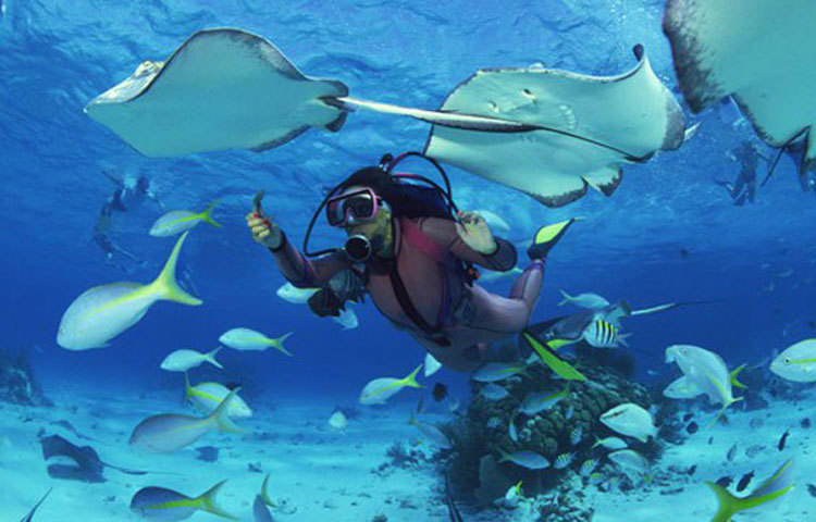 স্কুবা ডাইভিং : এটি পানির গভীরের খেলা। স্কুবা ডাইভিংয়ে হাঙর বা ভয়ঙ্কর প্রাণীর আক্রমণের আশঙ্কা থাকে। তাছাড়াও গভীর জলের ভিতরে অনেক সময় থাকার কারণে স্পাইনাল কর্ড, ব্রেনের সমস্যা দেখা দেয়। এমনকি, অনেকে শ্বাসরুদ্ধ হয়ে মারাও যায়।