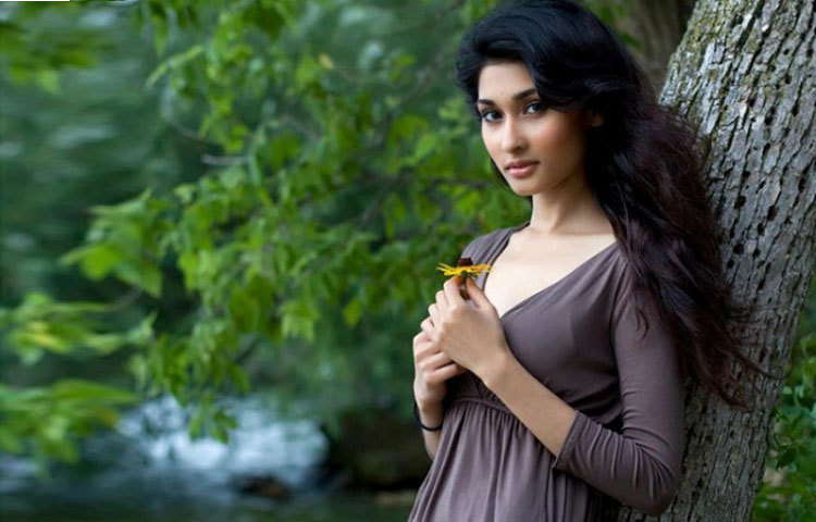 আমেরিকার মিনেসোটা ইউনিভার্সিটি থেকে শিশির সফটওয়্যার ইঞ্জিনিয়রিং নিয়ে স্নাতক পাস করেন।