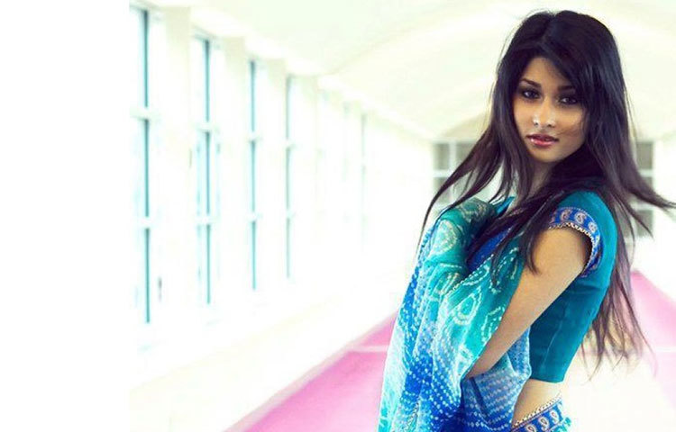 শিশির সংসার সামলানোর পাশাপাশি মডেলিংও করছেন। ২০১৫ সালের ৮ নভেম্বর মেয়ের মা হন তিনি।