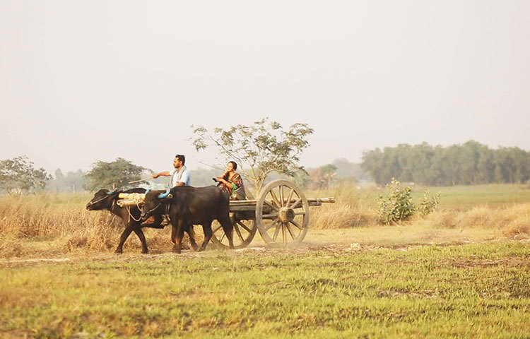 সজলের মহিষের গাড়িতে চড়ছেন প্রভা। একটি ভিন্নধর্মী গল্প ও চরিত্রে সম্প্রতি অভিনয় করলেন প্রভা-সজল।