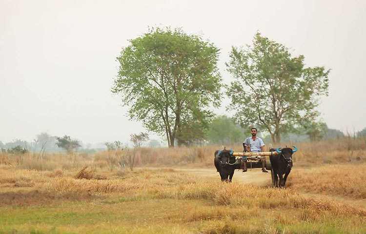সজল আরো বলেন &lsquo;এ নাটকটিও তেমন চ্যালেঞ্জিং অভিনয়ের একটি জায়গা। একজন নির্মাতা হিসেবে আজাদ কালাম অনেক বেশি অভিজ্ঞ এবং তার কাজে নতুত্ব রয়েছে।&rsquo;